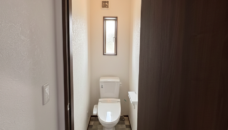 Gemini_Generated_Image_67v8w367v8w367v8